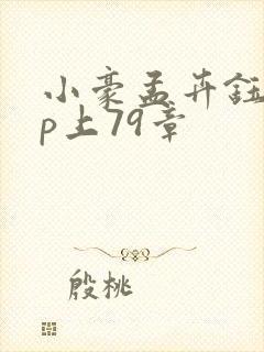 小豪孟卉钰慧三p上79章