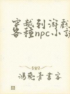 穿越到游戏里和各种npc小说