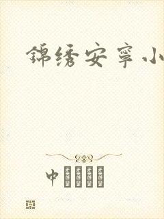 锦绣安宁小说封面