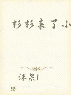 杉杉来了小说封面