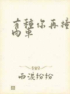 有种你再撞一下肉车