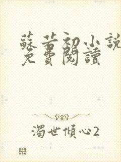 苏若初小说全文免费阅读封面