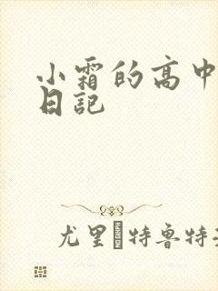 小霜的高中成长日记