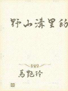 野山沟里的村庄封面
