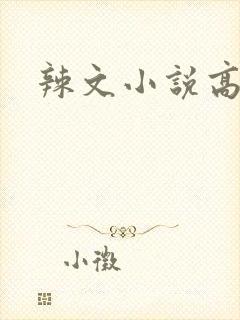 辣文小说高h