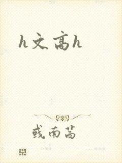 h文高h