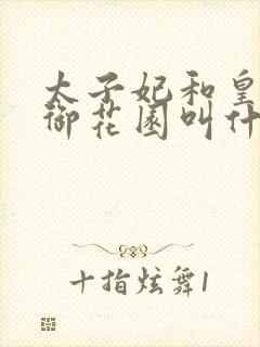 太子妃和皇帝在御花园叫什么小说