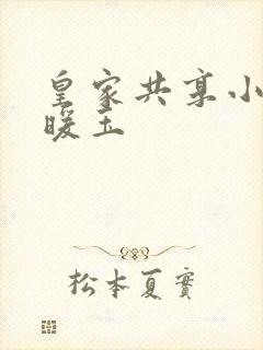 皇家共享小公主暖玉封面