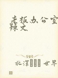 老板办公室系列辣文