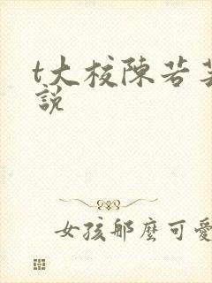 t大校陈若芸小说