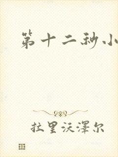 第十二秒小说
