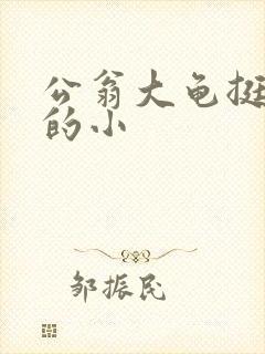 公翁大龟挺进我的小