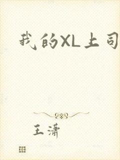 我的XL上司