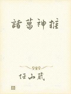 诸葛神推封面