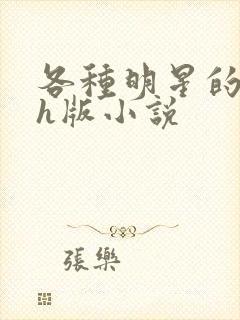 各种明星的综艺h版小说封面