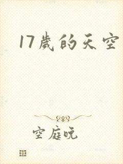 17岁的天空封面