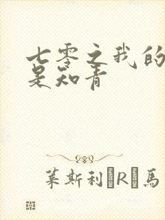 七零之我的老婆是知青封面