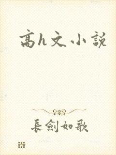 高h文小说
