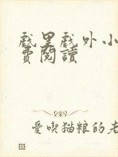 戏里戏外小说免费阅读封面