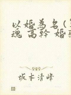 以婚为名 (军魂 高干 婚恋)