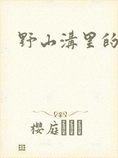 野山沟里的村庄