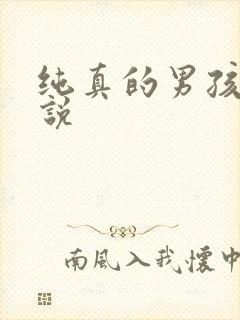 纯真的男孩子小说封面