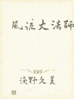 风流大法师封面