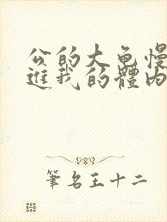 公的大龟慢慢挺进我的体内