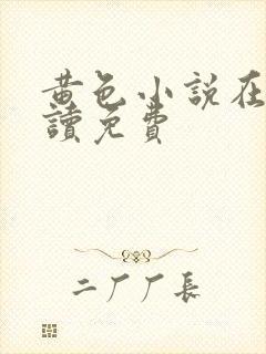 黄色小说在线阅读免费