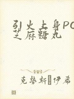 引火上身POP芝麻糖丸封面