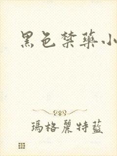 黑色禁药小说封面