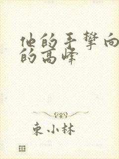 他的手攀向了我的高峰封面