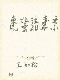 东北往事之黑道风云20年小说