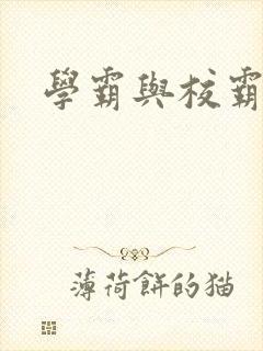 学霸与校霸封面