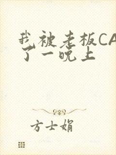 我被老板CAO了一晚上