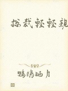 总裁轻轻亲封面