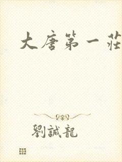 大唐第一庄封面