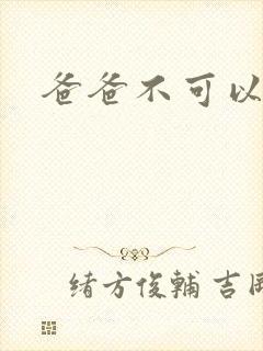 爸爸不可以封面