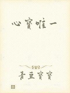 心宝唯一封面