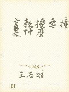 言教授要撞坏了是什么