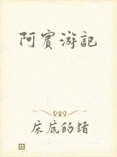 阿宾游记