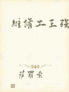 维修工王强张婷封面