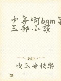 少年啊bgm第三部小说
