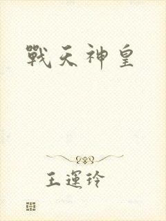战天神皇封面