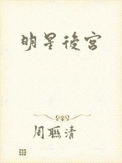 明星后宫