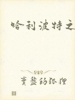 哈利波特之守护