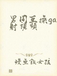 男同互操gay射视频