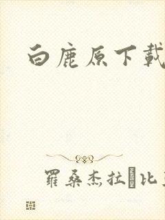 白鹿原下载封面