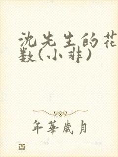 沈先生的花式调数(小非)