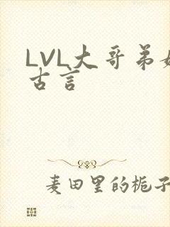 LVL大哥弟媳古言